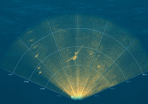 2D Forward Looking Sonar Systems​